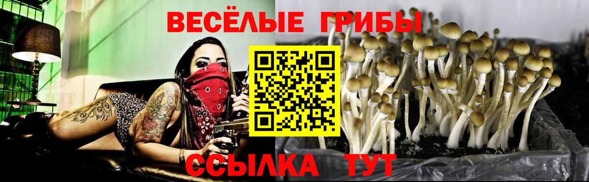Галлюциногенные грибы GOLDEN TEACHER Асино